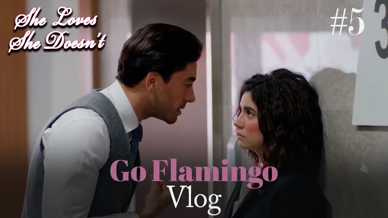Go Flamingo Vlog #5