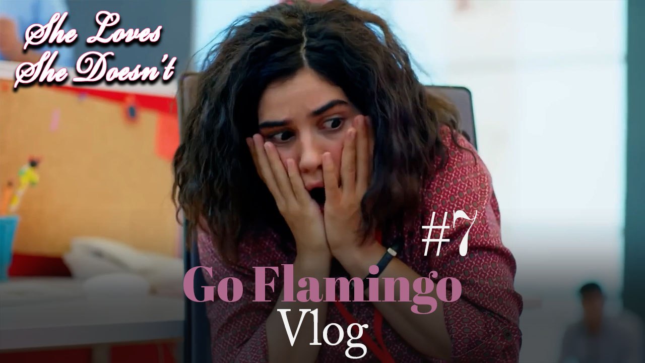 Go Flamingo Vlog #7
