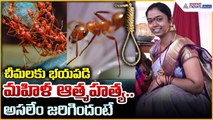 Myrmecophobia Case: చీమలకు భయపడి మహిళ ఆత్మహ*త్య.. అసలేం జరిగిందంటే | Asianet News Telugu