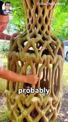 This man is turning living trees into art 🌳✨. By gently moulding their stems while they’re still growing, he shapes them into stunning wooden vases — completely natural and grown straight from the soil. It’s slow, patient, a Reacts | DIY videos | crafts
