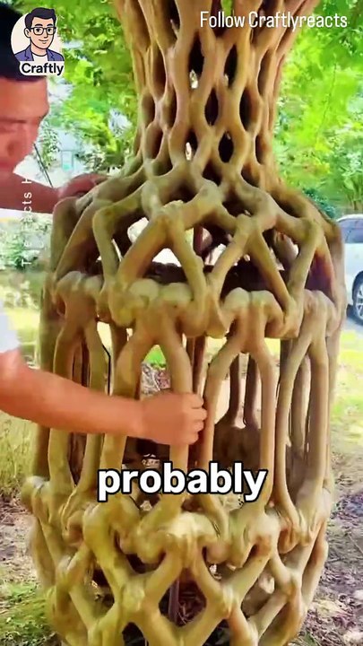 This man is turning living trees into art 🌳✨. By gently moulding their stems while they’re still growing, he shapes them into stunning wooden vases — completely natural and grown straight from the soil. It’s slow, patient, a Reacts | DIY videos | crafts