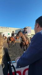 Salvini - 127esima edizione della “Fieracavalli” di Verona (07.11.25)