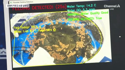로봇이 물고기 키우고, AI로 양식장 관리