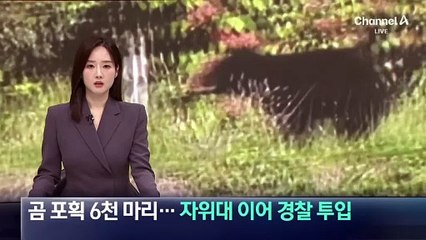 일본, 올해 곰 6천여 마리 포획…자위대 이어 경찰 투입