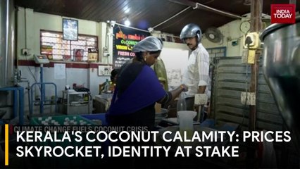 Kerala's Coconut Crisis: God's Own Country Loses Its Identity?