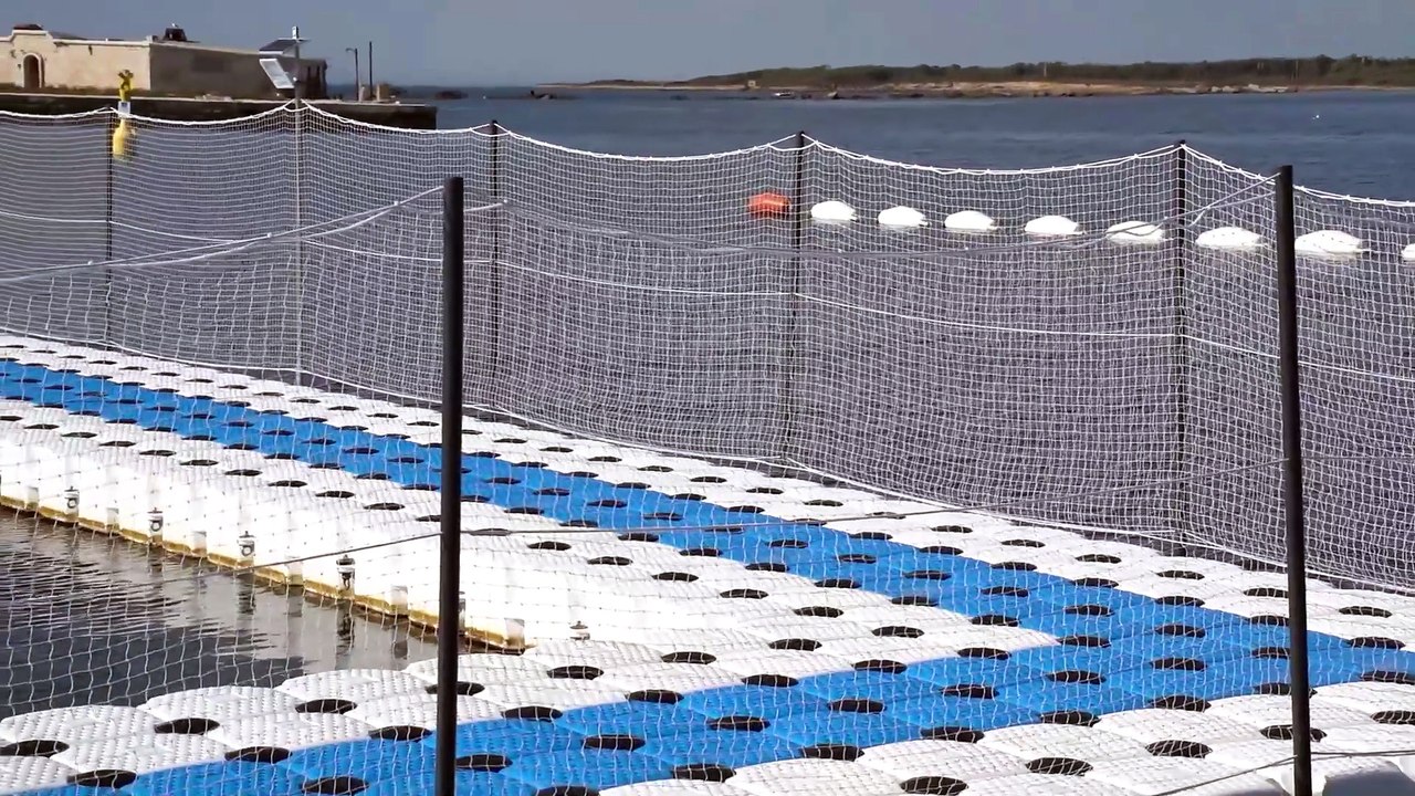Il rifugio dei delfini a Taranto: un centro per gli esemplari liberati da acquari e parchi