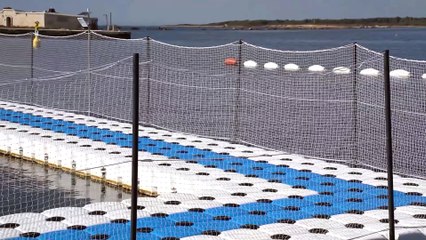 Il rifugio dei delfini a Taranto: un centro per gli esemplari liberati da acquari e parchi