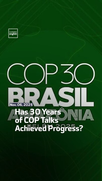 Has 30 Years of COP Talks Achieved Progress?