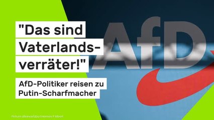 Fraktion verbietet Medwedew-Treffen: "Das sind Vaterlandsverräter!" AfD-Politiker reisen zu Putin-Scharfmacher