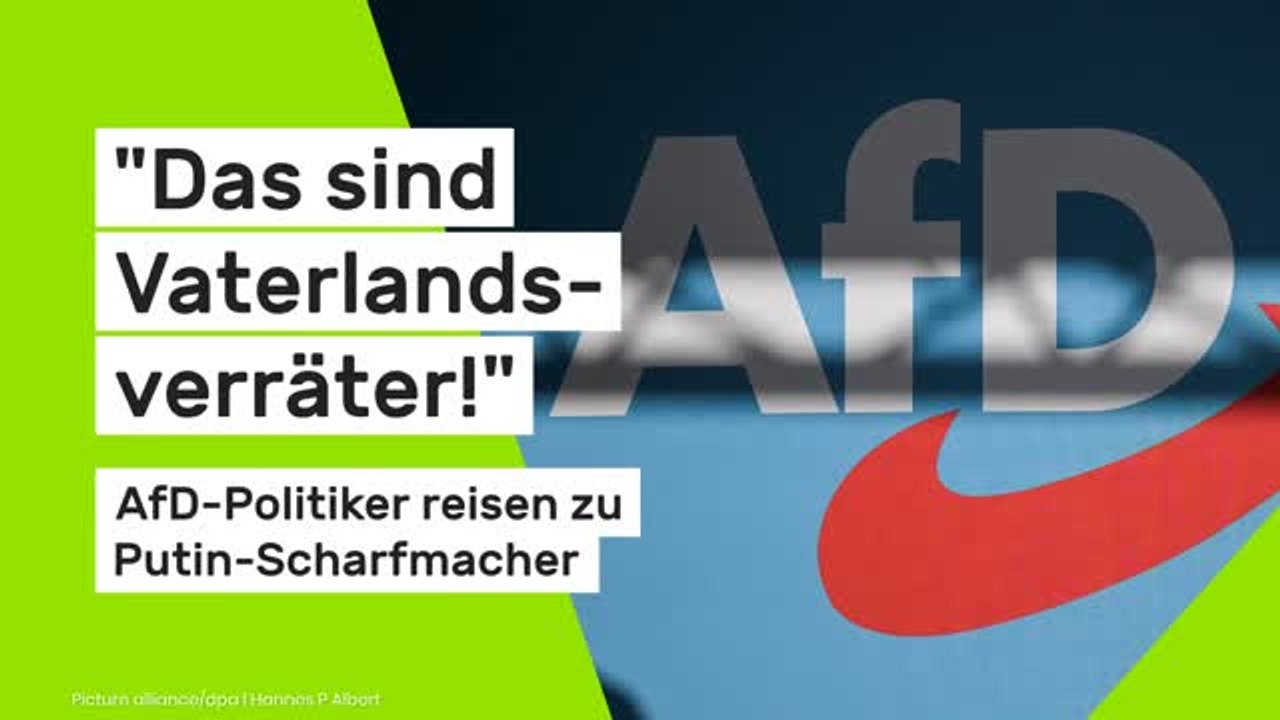 Fraktion verbietet Medwedew-Treffen: 'Das sind Vaterlandsverräter!' AfD-Politiker reisen zu Putin-Scharfmacher