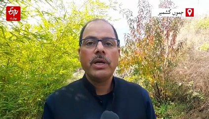 وسطی کشمیر میں پہلی بار ’فالسٹیکس‘ بانس کی کامیاب افزائش