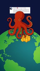 La pieuvre est la meilleure des mamans !