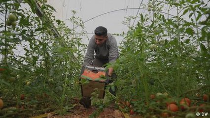 Palestinians squeezed as Israel's West Bank settlements grow