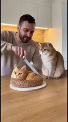 cat say "oh, no..oh my god"