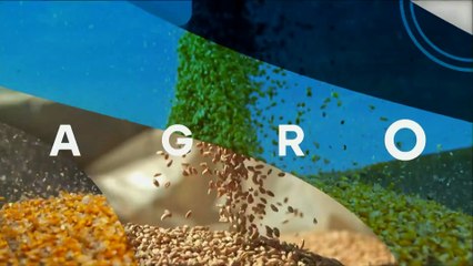 Agronegócio foca na COP30 e pede liderança brasileira nos trópicos; Mariana Grilli comenta