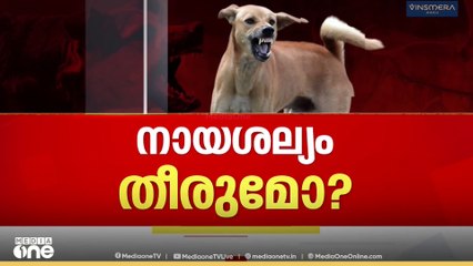തെരുവുനായ ശല്യം തീരുമോ? സുപ്രധാന ഉത്തരവുമായി സുപ്രിംകോടതി