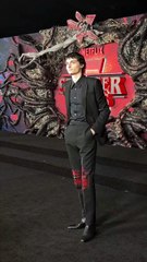 Stranger things cast season 5