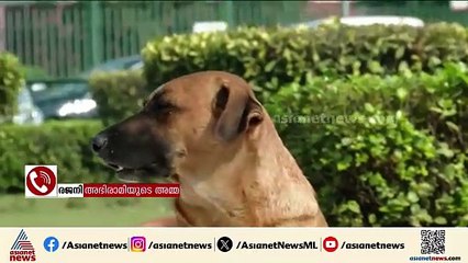 തെരുവുനായ പ്രശ്‍നം; സുപ്രധാന ഉത്തരവുമായി സുപ്രീംകോടതി; പൊതു ഇടങ്ങളിൽ നിന്ന് നായകളെ നീക്കണം