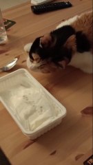 Putin Dondurmaya Göz Koymuş