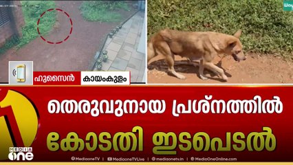'ഒരുപാട് മൃ​ഗസ്നേഹികളുണ്ട്, കോടതി നിർദേശം നടപ്പാകുമോന്ന് അറിയില്ല'