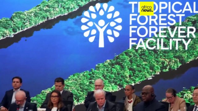 France leads $2.5 billion push to protect Congo’s forest as climate summit urges action