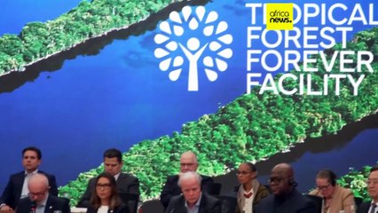 France leads $2.5 billion push to protect Congo’s forest as climate summit urges action