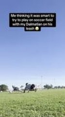 Woman Falls Face-First After Dog Yanks Leash