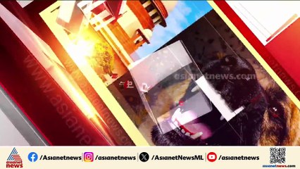 'പൊതു ഇടങ്ങളിൽ നിന്ന് പൂർണമായും തെരുവ് നായ്ക്കളെ ഒഴിവാക്കണം'; സുപ്രധാന ഉത്തരവുമായി സുപ്രീംകോടതി