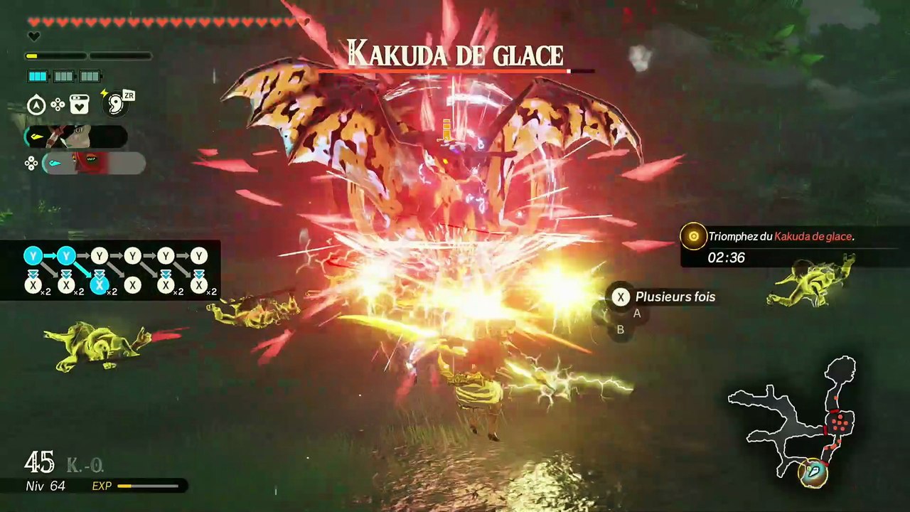 Qia & Ardi - Hyrule Warriors : Les Chroniques du Sceau