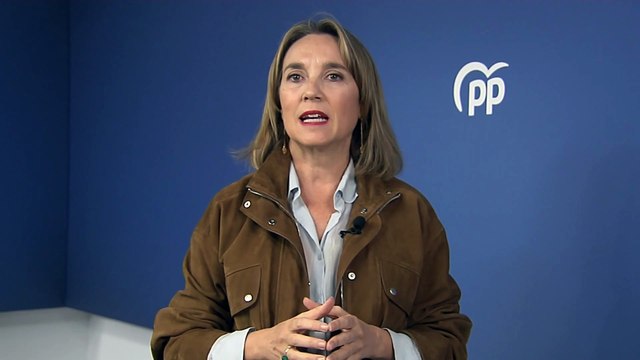 El PP pide a la Audiencia Nacional expulsar al PSOE como acusación popular del caso Koldo