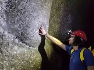 Das größte Spinnennetz der Welt wurde entdeckt