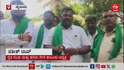 ಆನೆ, ಚಿರತೆ, ಹುಲಿ, ಆಯ್ತು ಈಗ ಹಂದಿ ಕಾಟ: ಕಾಡು ಹಂದಿ ದಾಳಿಗೆ ರೈತ ಬಲಿ