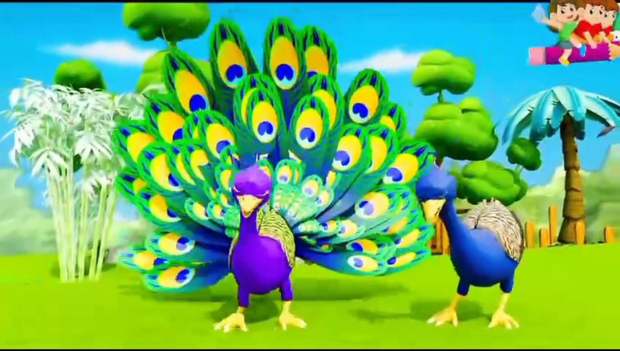 Nani Teri morni ko mor le gaye#FunPlay #funnyvideo funplay