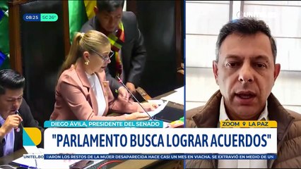 Presidente del Senado anuncia leyes contra la crisis y reformas a las normas de hidrocarburos, autonomías y de inversión