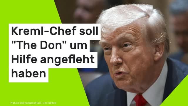 Donald Trump über Wladimir Putin: Verzweifelter Kreml-Chef soll The Don um Hilfe angefleht haben