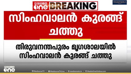 തിരുവനന്തപുരം മൃഗശാലയിൽ സിംഹവാലൻ കുരങ്ങ് ചത്തു