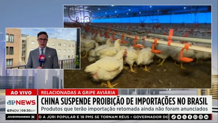 China suspende proibições de importação de produtos brasileiros após surto de gripe aviária