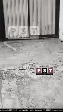 VECINOS DEL PLAN 3000 PIDEN AYUDA TRAS ATAQUE DE PERROS PITBULL QUE MATÓ A UN PERRO