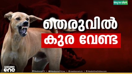 തെരുവുനായ പ്രശ്നത്തിൽ സുപ്രധാന ഉത്തരവുമായി സുപ്രിംകോടതി