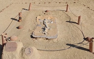 Resmen bir ''fosil denizi'': Dünyada başka örneği yok!