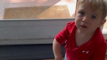 Toddler gets upset after being told he has to leave home without his potty