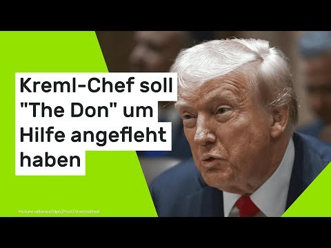 Donald Trump über Wladimir Putin: Verzweifelter Kreml-Chef soll The Don um Hilfe angefleht haben