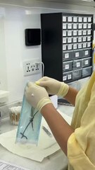 The Conch Piercing: Your New Style Staple #conchpiercing #helixpiercing #earpiercing #nosepiercing