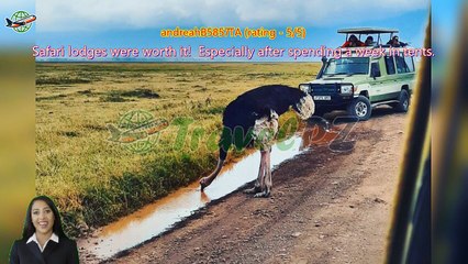 「TravelPZ」 Review 4-Day Serengeti, Ngorongoro,Tarangire safari