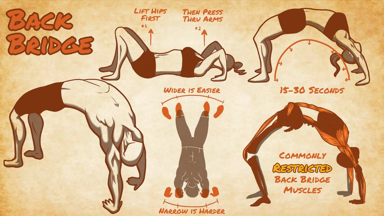 BULLET PROOF Spine w/ Bridge Progressions & Variations