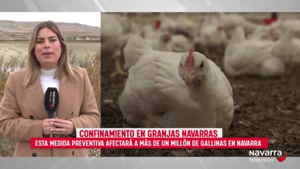 Nuevas medidas frente a la gripe aviar en Navarra