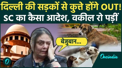 Supreme Court Stray Dogs Order: आवारा कुत्तों पर Supreme Court का कैसा कठोर आदेश, नसबंदी कर हटेंगे