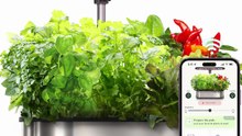 LetPot 12-Pod Hydroponics: Indoor Gardening Made Easy with WiFi Control