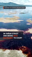 Marcos orders complaint filed vs distillery over molasses spill in Tañon Strait