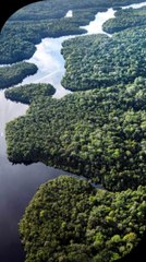 Veja os Três Assuntos Que Marcaram a Semana no Brasil